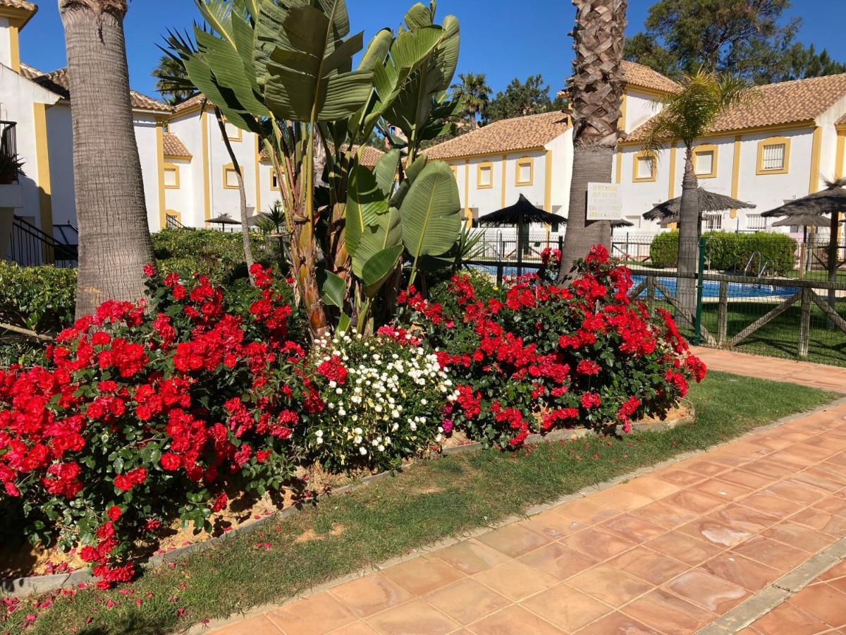 Playa Golf Iv Holiday home